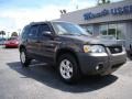 2007 Dark Stone Metallic Ford Escape XLT  photo #2