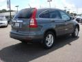 2010 Polished Metal Metallic Honda CR-V EX AWD  photo #6