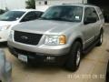 Silver Birch Metallic 2005 Ford Expedition XLT