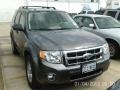 2011 Sterling Grey Metallic Ford Escape XLT V6  photo #2