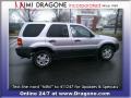 2003 Satin Silver Metallic Ford Escape XLT V6 4WD  photo #4