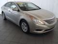 Camel Pearl - Sonata GLS Photo No. 1