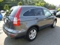 2010 Polished Metal Metallic Honda CR-V EX-L AWD  photo #3