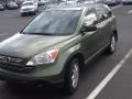 2009 Green Tea Metallic Honda CR-V EX 4WD  photo #1