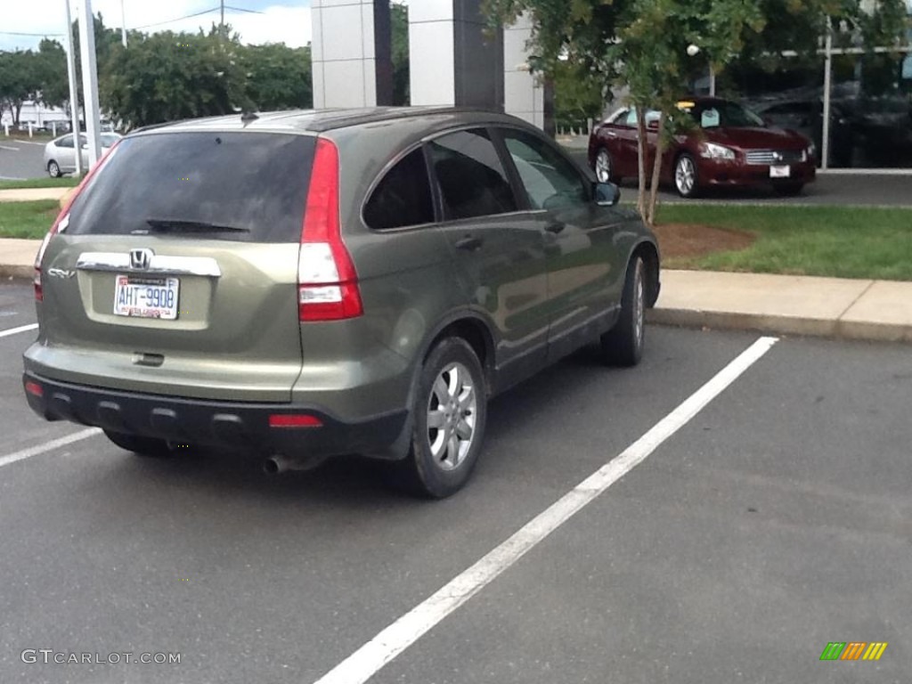 2009 CR-V EX 4WD - Green Tea Metallic / Ivory photo #3