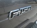 2009 Sterling Grey Metallic Ford F150 XLT SuperCab  photo #7