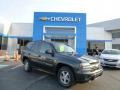 Dark Gray Metallic 2004 Chevrolet TrailBlazer LS 4x4