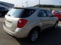 Champagne Silver Metallic - Equinox LS AWD Photo No. 8