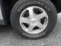 Silverstone Metallic - TrailBlazer LS 4x4 Photo No. 2