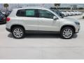 White Gold Metallic - Tiguan SE Photo No. 10