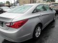 Radiant Silver - Sonata GLS Photo No. 5