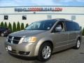 Light Sandstone Metallic - Grand Caravan SXT Photo No. 1