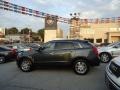 Gray Flannel - SRX 4 V6 AWD Photo No. 43