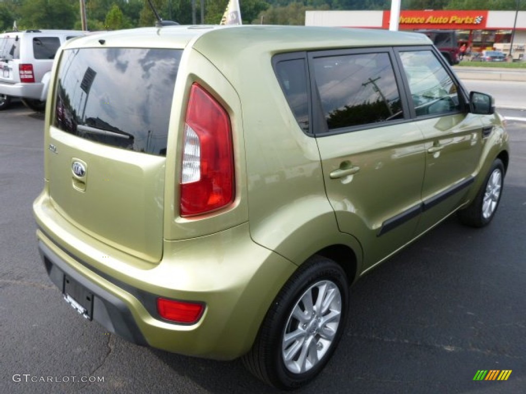 2013 Soul + - Alien Green / Black Soul Logo Cloth photo #5