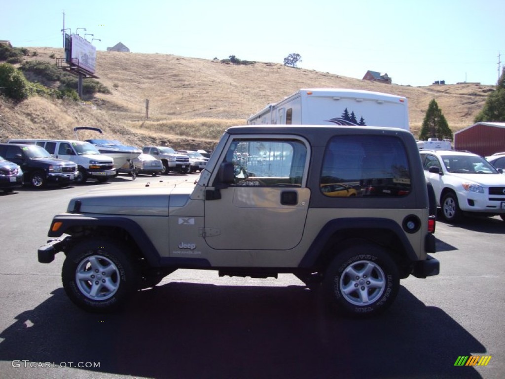 2004 Wrangler X 4x4 - Light Khaki Metallic / Khaki photo #4