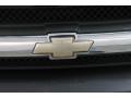 Graphite Metallic - TrailBlazer LS 4x4 Photo No. 14