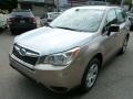 Burnished Bronze Metallic - Forester 2.5i Photo No. 8