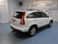 Taffeta White - CR-V EX-L 4WD Photo No. 6