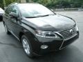 Stargazer Black - RX 350 AWD Photo No. 6