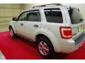 Light Sage Metallic - Escape XLT V6 Photo No. 4