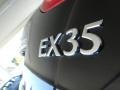 2010 Black Obsidian Infiniti EX 35 Journey AWD  photo #19