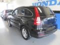 2010 Crystal Black Pearl Honda CR-V EX AWD  photo #2