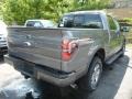 Sterling Gray Metallic - F150 FX4 SuperCrew 4x4 Photo No. 2