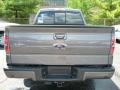 Sterling Gray Metallic - F150 FX4 SuperCrew 4x4 Photo No. 3