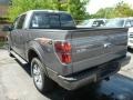 Sterling Gray Metallic - F150 FX4 SuperCrew 4x4 Photo No. 4