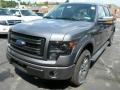 Sterling Gray Metallic - F150 FX4 SuperCrew 4x4 Photo No. 5