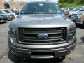 Sterling Gray Metallic - F150 FX4 SuperCrew 4x4 Photo No. 6