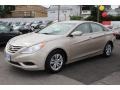Camel Pearl - Sonata GLS Photo No. 3