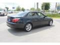 2008 Black Sapphire Metallic BMW 5 Series 528i Sedan  photo #8