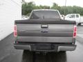 Sterling Gray Metallic - F150 XLT SuperCrew 4x4 Photo No. 8