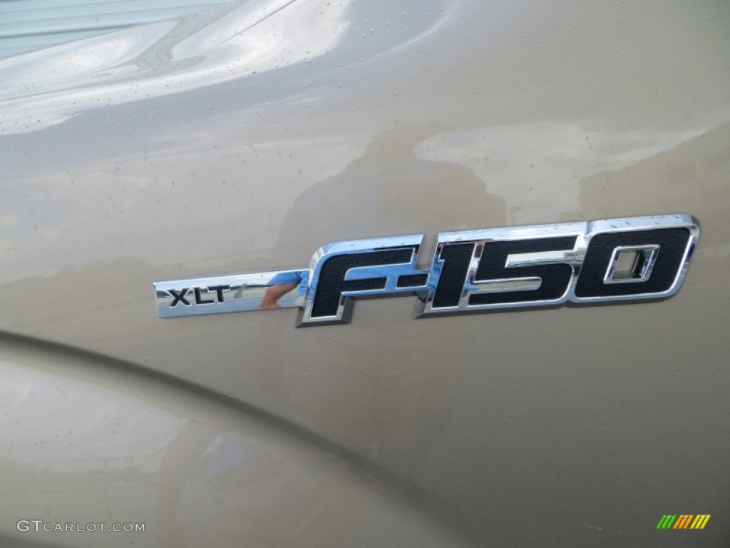 2013 F150 XLT SuperCrew - Pale Adobe Metallic / Adobe photo #12