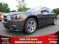 Granite Crystal Metallic - Charger SE Photo No. 1