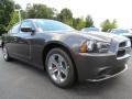 Granite Crystal Metallic 2014 Dodge Charger SE Exterior