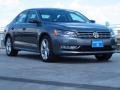 Platinum Gray Metallic - Passat TDI SEL Photo No. 1