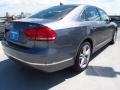 Platinum Gray Metallic - Passat TDI SEL Photo No. 6