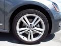 Platinum Gray Metallic - Passat TDI SEL Photo No. 7