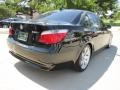 Jet Black - 5 Series 530i Sedan Photo No. 10