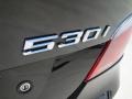 Jet Black - 5 Series 530i Sedan Photo No. 19