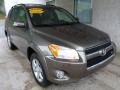 2010 Pyrite Metallic Toyota RAV4 Limited V6 4WD  photo #1