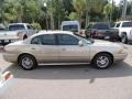 Light Bronzemist Metallic - LeSabre Custom Photo No. 8