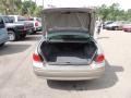 Light Bronzemist Metallic - LeSabre Custom Photo No. 14