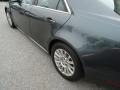 Thunder Gray ChromaFlair - CTS 3.0 Sedan Photo No. 47
