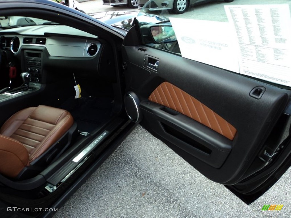 2010 Ford Mustang V6 Premium Coupe Door Panel Photos
