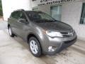 Pyrite Mica - RAV4 XLE AWD Photo No. 1