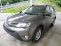 Pyrite Mica - RAV4 XLE AWD Photo No. 6
