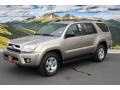Driftwood Pearl - 4Runner SR5 4x4 Photo No. 5